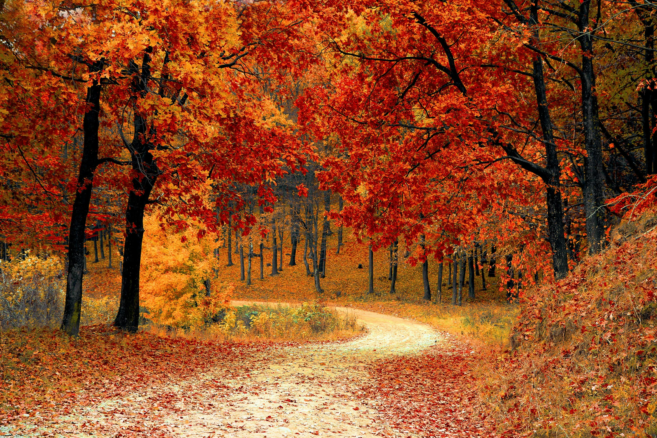 Before the Snow Hides It: 7 Things Alberta Homebuyers Should Check This Fall